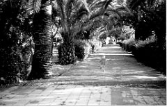 TABIA 1950 ALLEE DU MONUMENT VERS LA PLACE